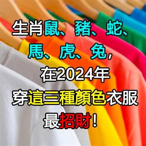 屬豬皮夾顏色|2024龍年十二生肖的「財庫色」解析，用年終獎金投。